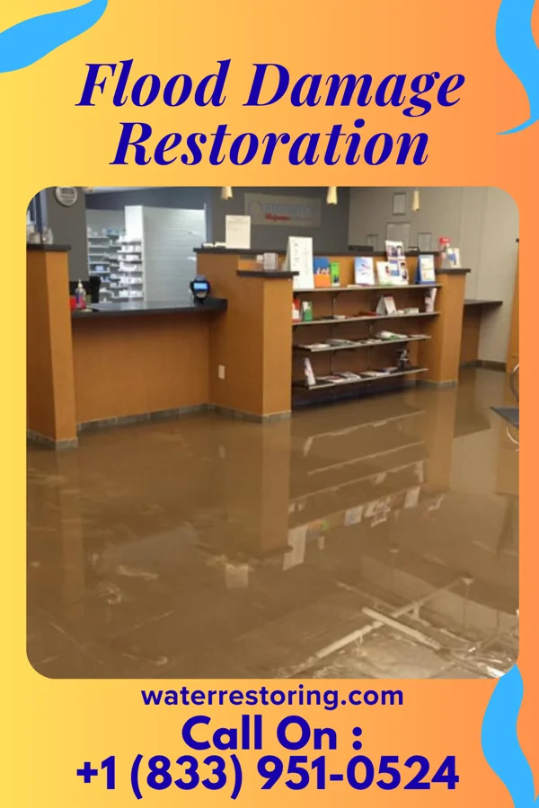 Flood Damage Restoration in Turtle Lake, WI