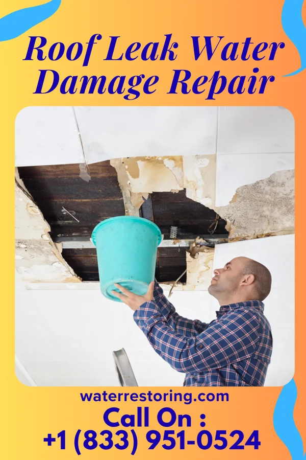 Roof Leak Water Damage Repair in Turtle Lake, WI