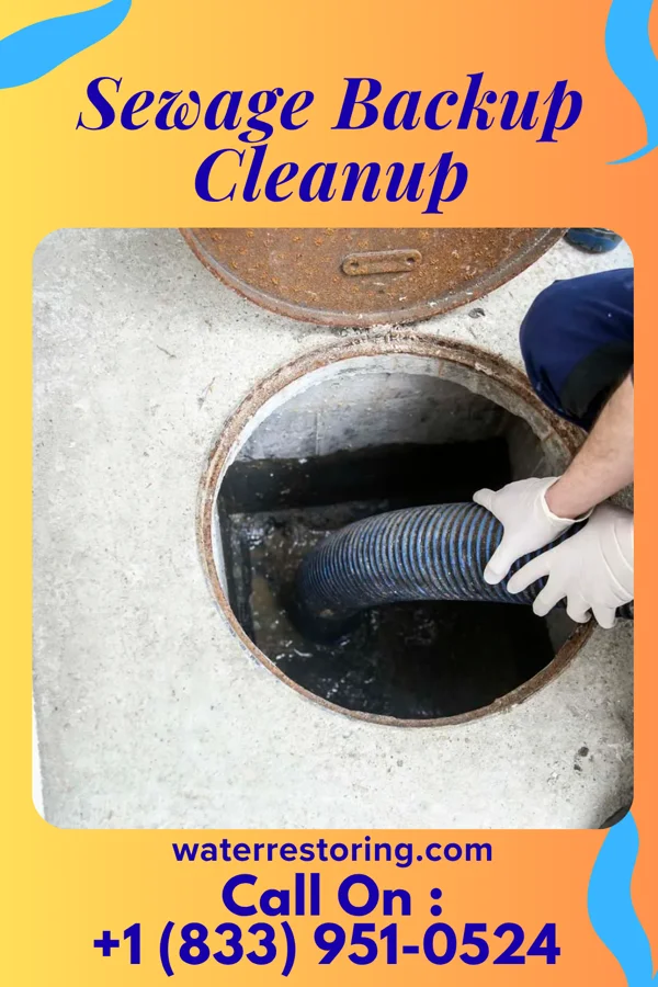 Sewage Backup Cleanup in Turtle Lake, WI